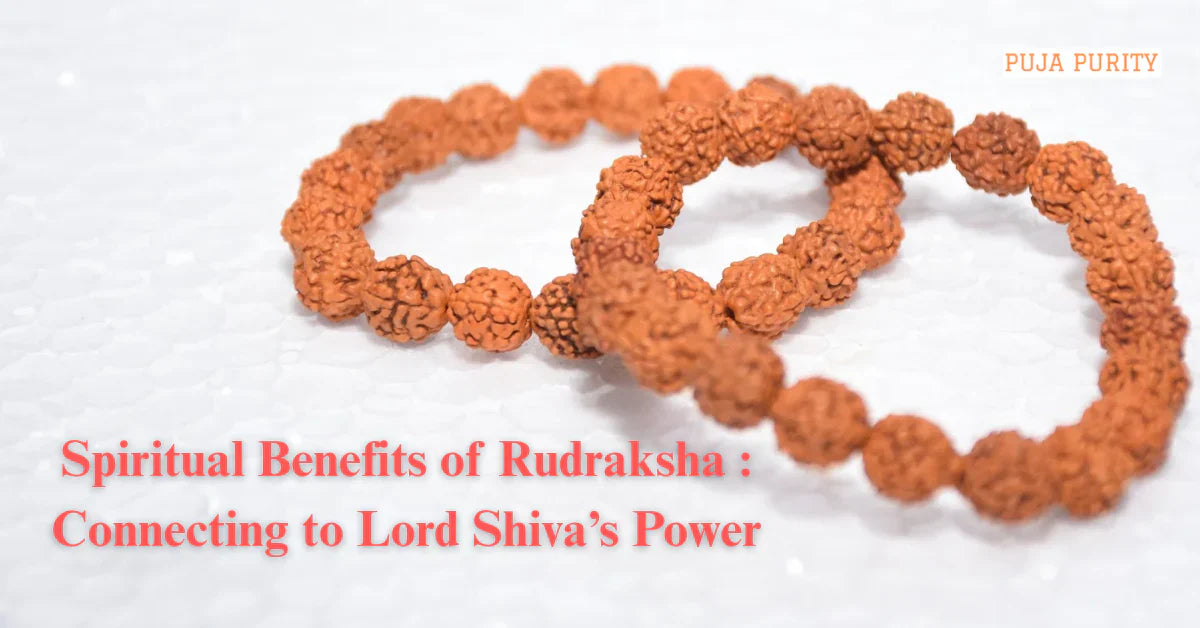 Spiritual Benefits of Rudraksha: Connecting to Lord Shiva’s Power